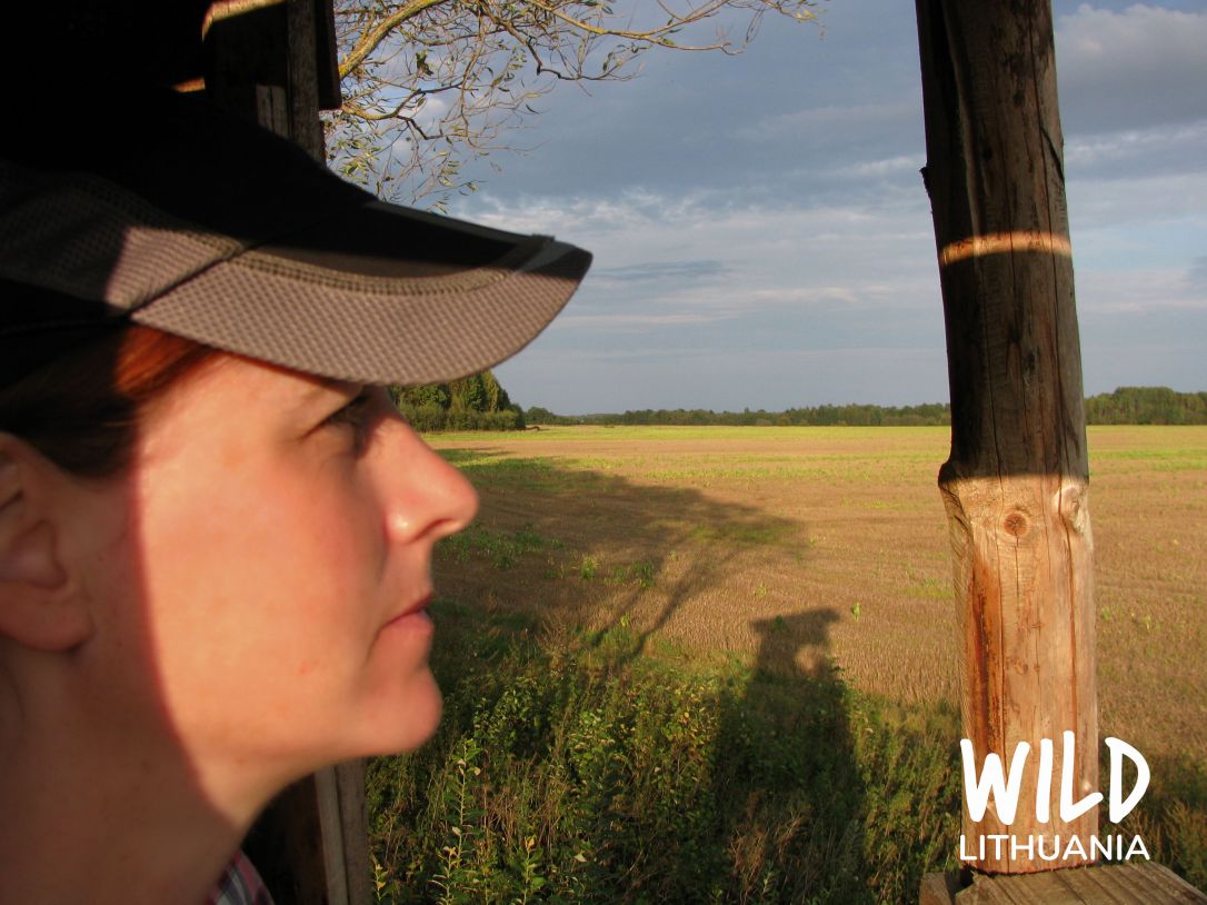 High Tea in the High Hide | www.junemolloy.com