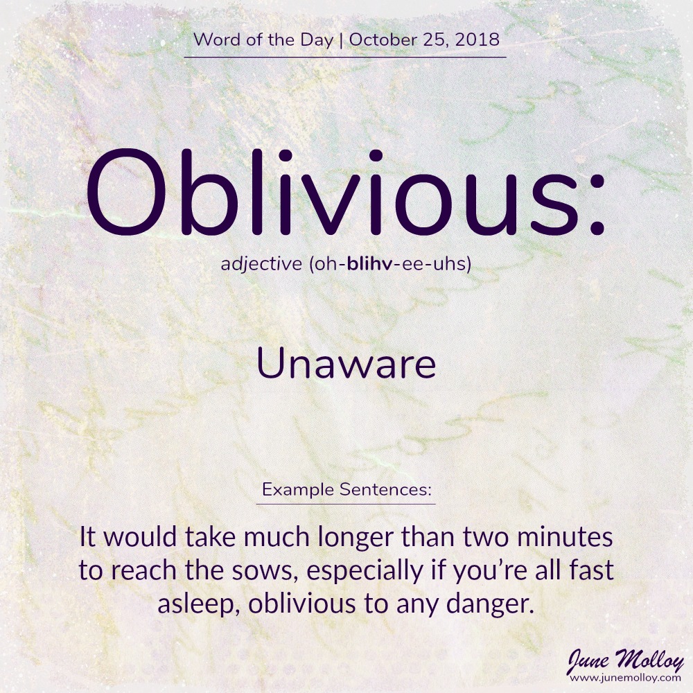 Word of the Day | www.junemolloy.com