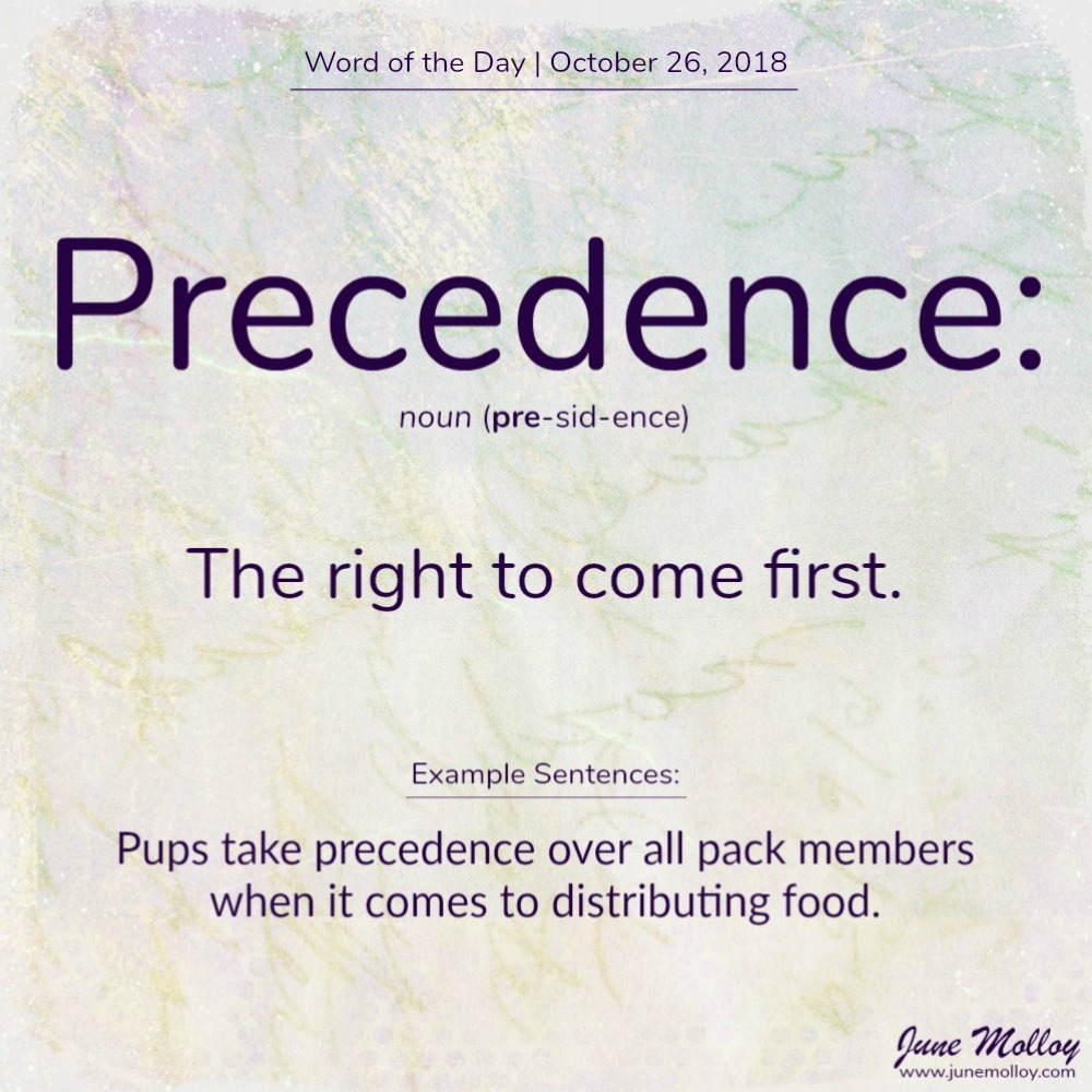 Word of the Day | www.junemolloy.com