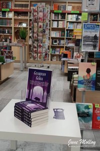 Vaga Bookshop, Taurage | www.junemolloy.com