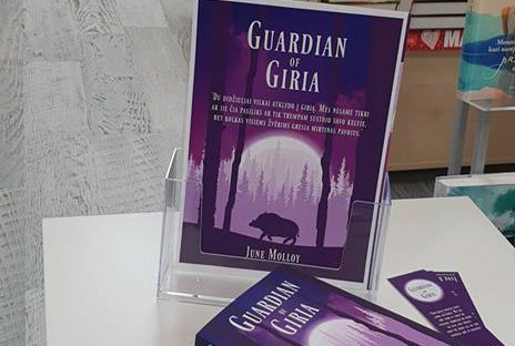 Vaga Bookshop, Taurage | www.junemolloy.com