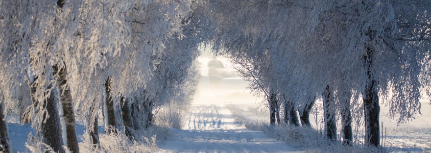 Snowy Lane, Lithuania | www.junemolloy.com