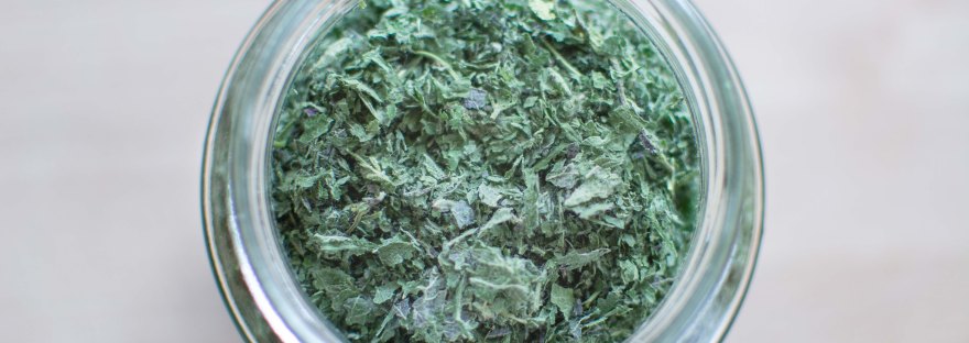 Homemade Nettle Tea | www.junemolloy.com