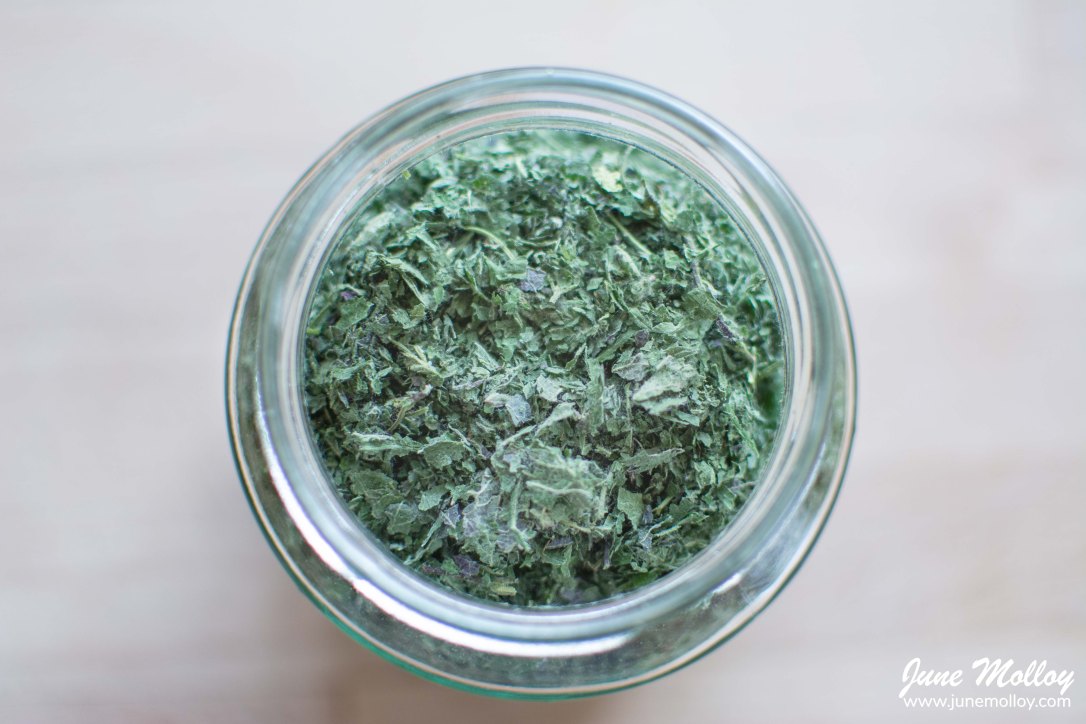 Homemade Nettle Tea | www.junemolloy.com