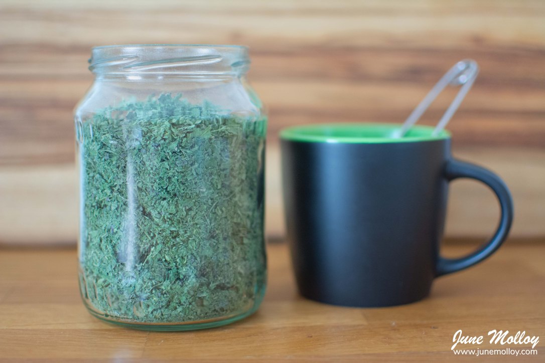 Homemade Nettle Tea | www.junemolloy.com