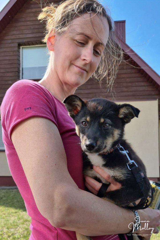 Luna | www.junemolloy.com