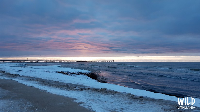 Palanga, Baltic Sea, Lithuania | www.junemolloy.com
