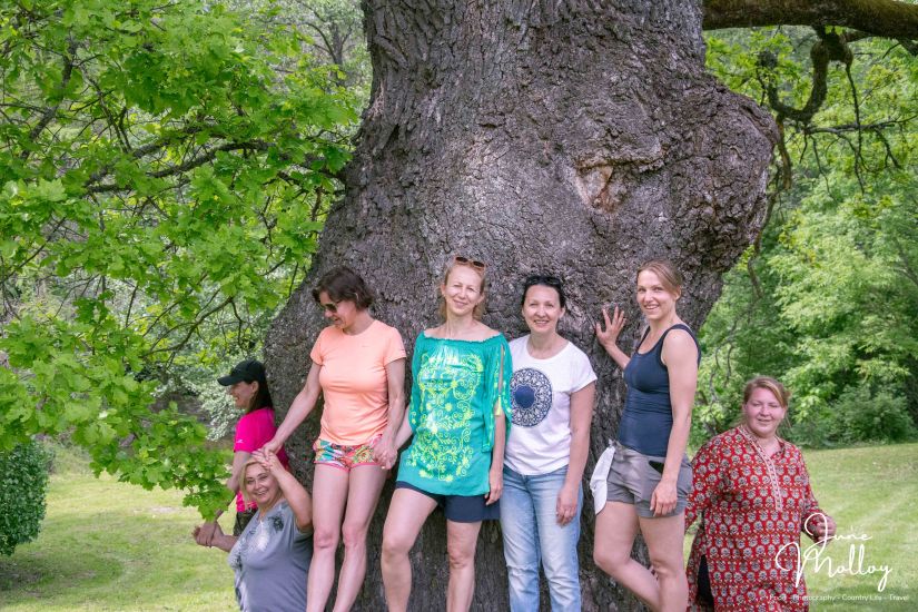 At Netiesos Homestead | www.junemolloy.com