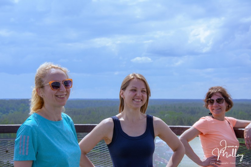 Happy Campers | www.junemolloy.com