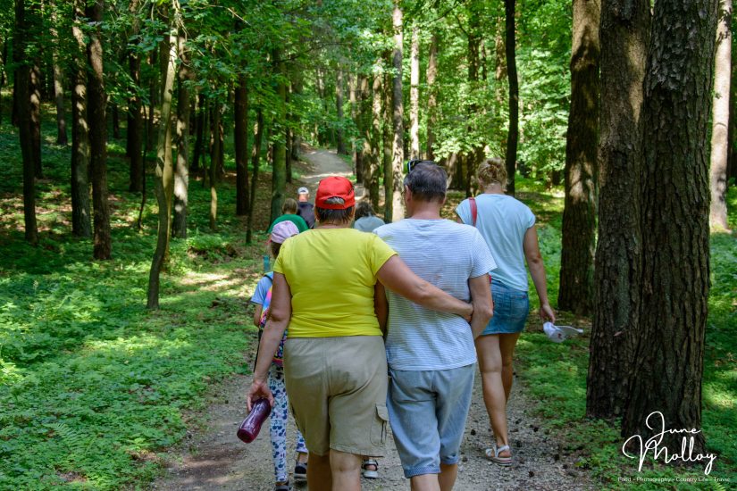 Guests in love | www.junemolloy.com