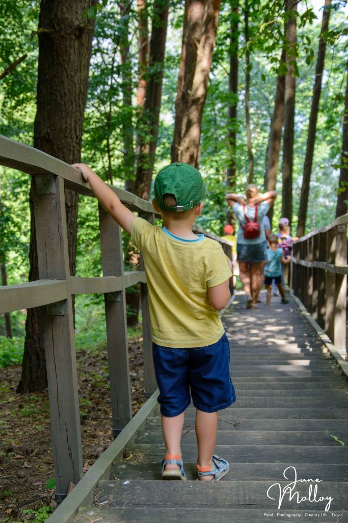 Sudargas mounds, beside the Nemunas | www.junemolloy.com